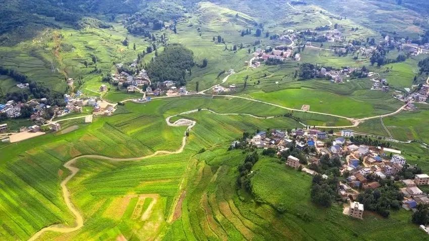 農産品溯源體(tǐ)系助力鄉村振興和(hé)農業産業現代化