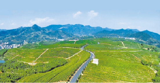 建設項目節地要求深化淺析