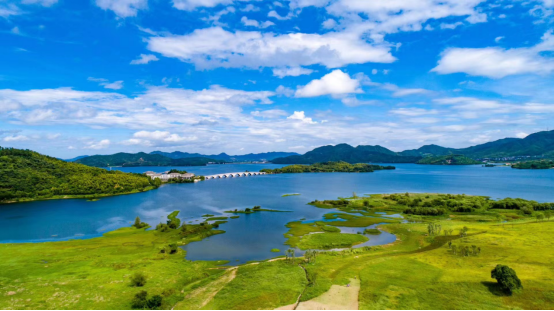 AI助力鄉村振興：開(kāi)啓智慧農村新時(shí)代