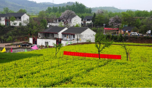 開(kāi)展全域土地綜合整治，積極助推鄉村振興